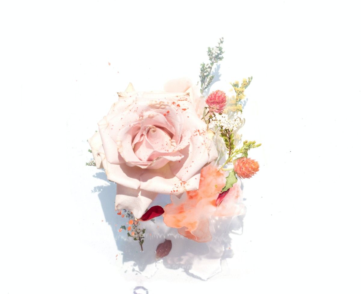 digital painting with Photoshop of watercolor flower