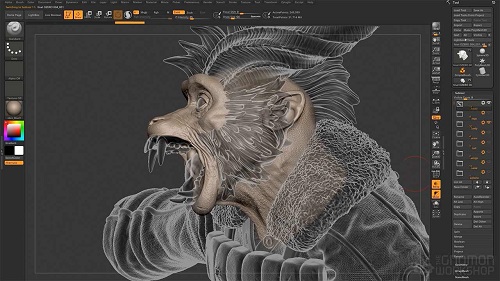 Zbrush program for 3D Modelling, Animation & Sculpting