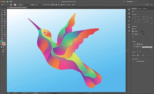 adobe illustrator CC program for  Vector Drawing