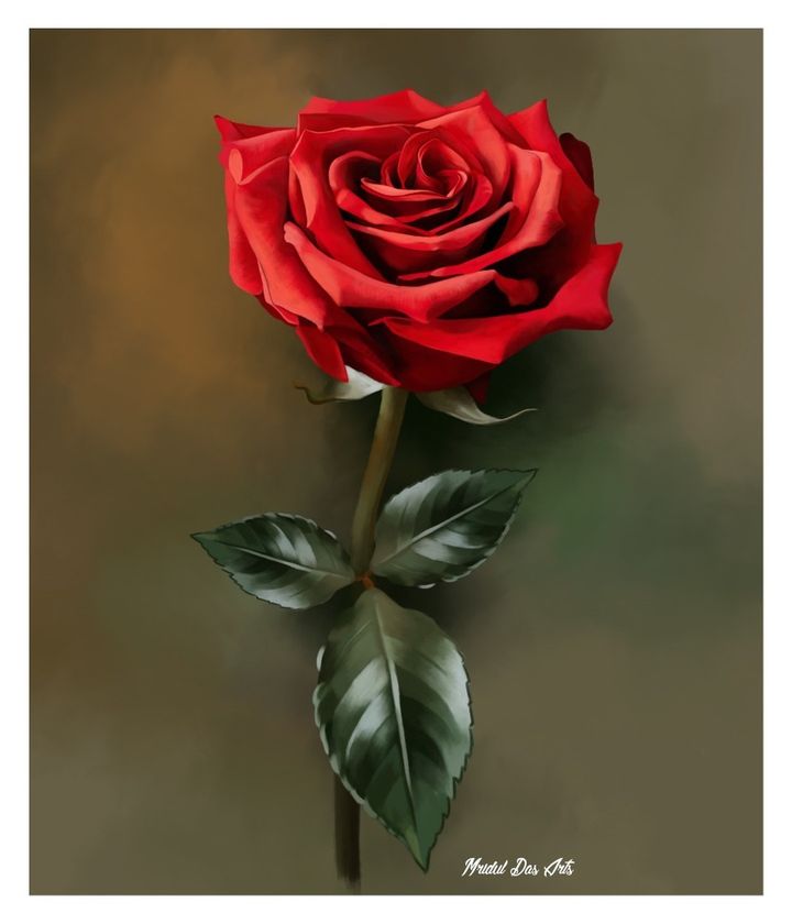 Drawing A Realistic Rose Step By