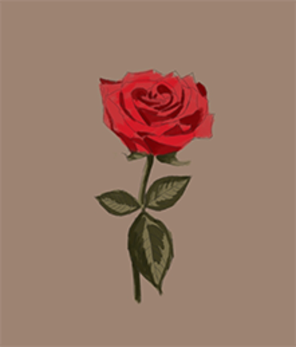 draw rose step 4