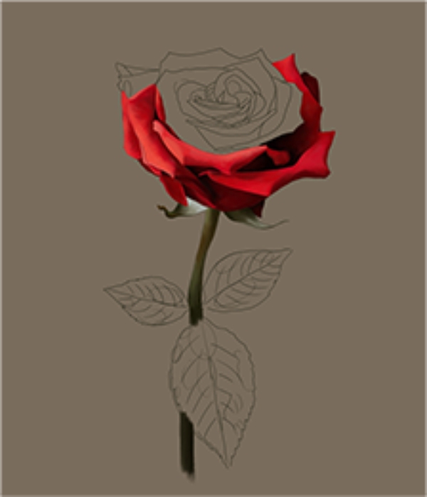 draw rose step 7