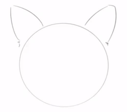 cat face drawing-how to draw a cat face basic shape