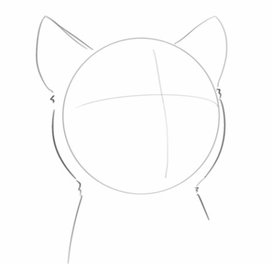 cat face drawing-how to draw a cat face organic shape