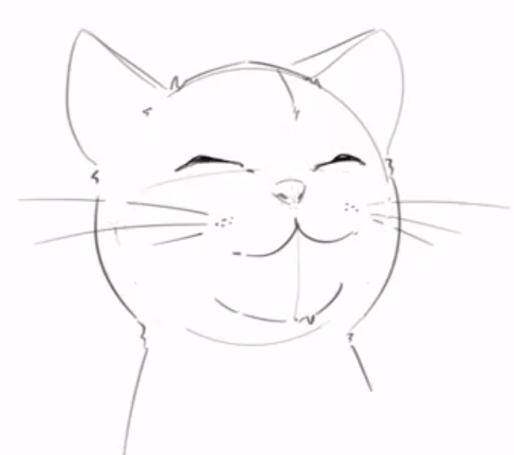 cat face drawing-how to draw a cat face smaller shape