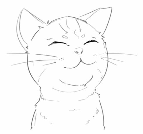 cat face drawing-how to draw a cat face pattern and details