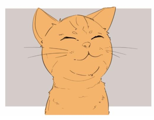 cat face drawing-how to draw a cat face base colors and fur rendering