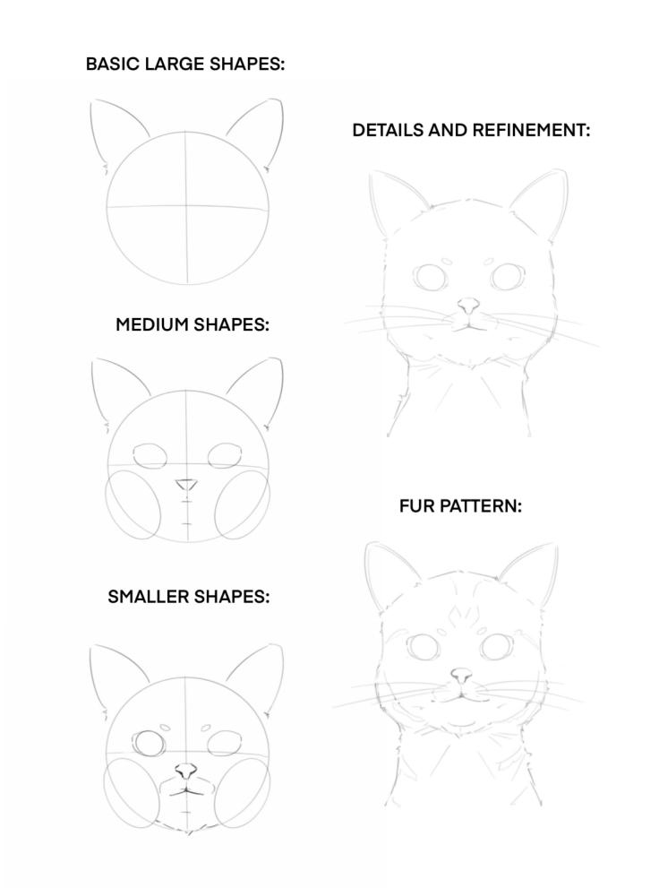 realistic cat face drawing guide