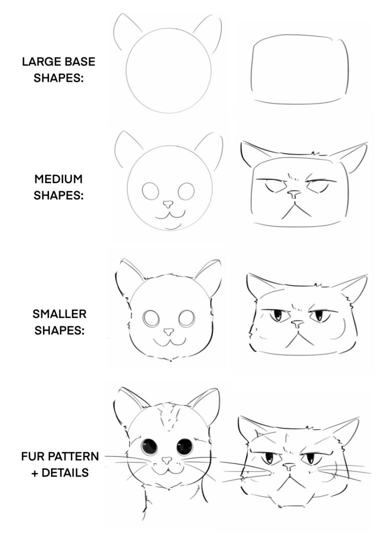 stylized cat face drawing guide
