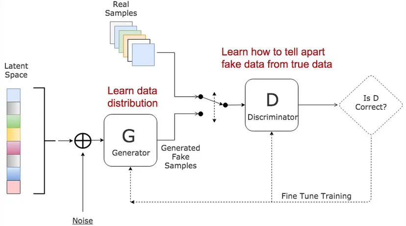 how does GAN work How GAN basically works