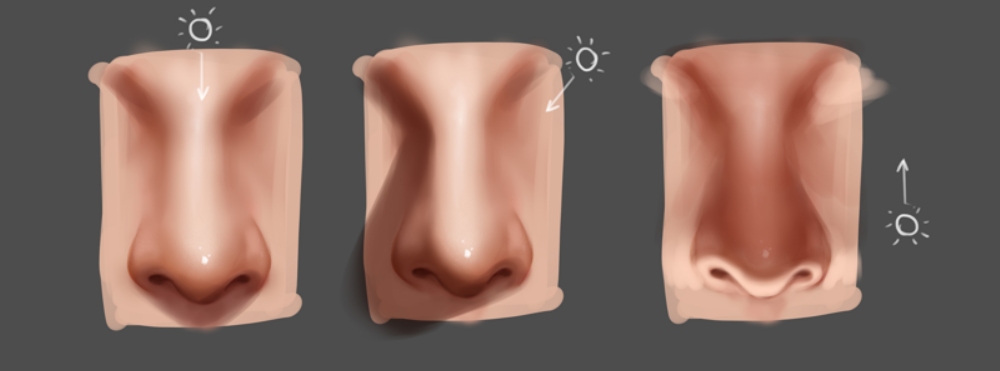 draw noses from three angles light