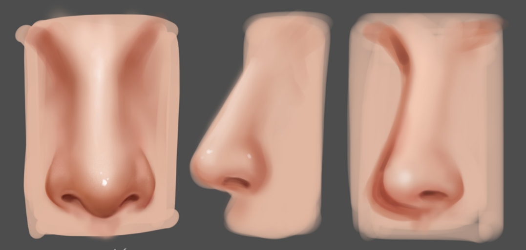 draw noses from three perspectives