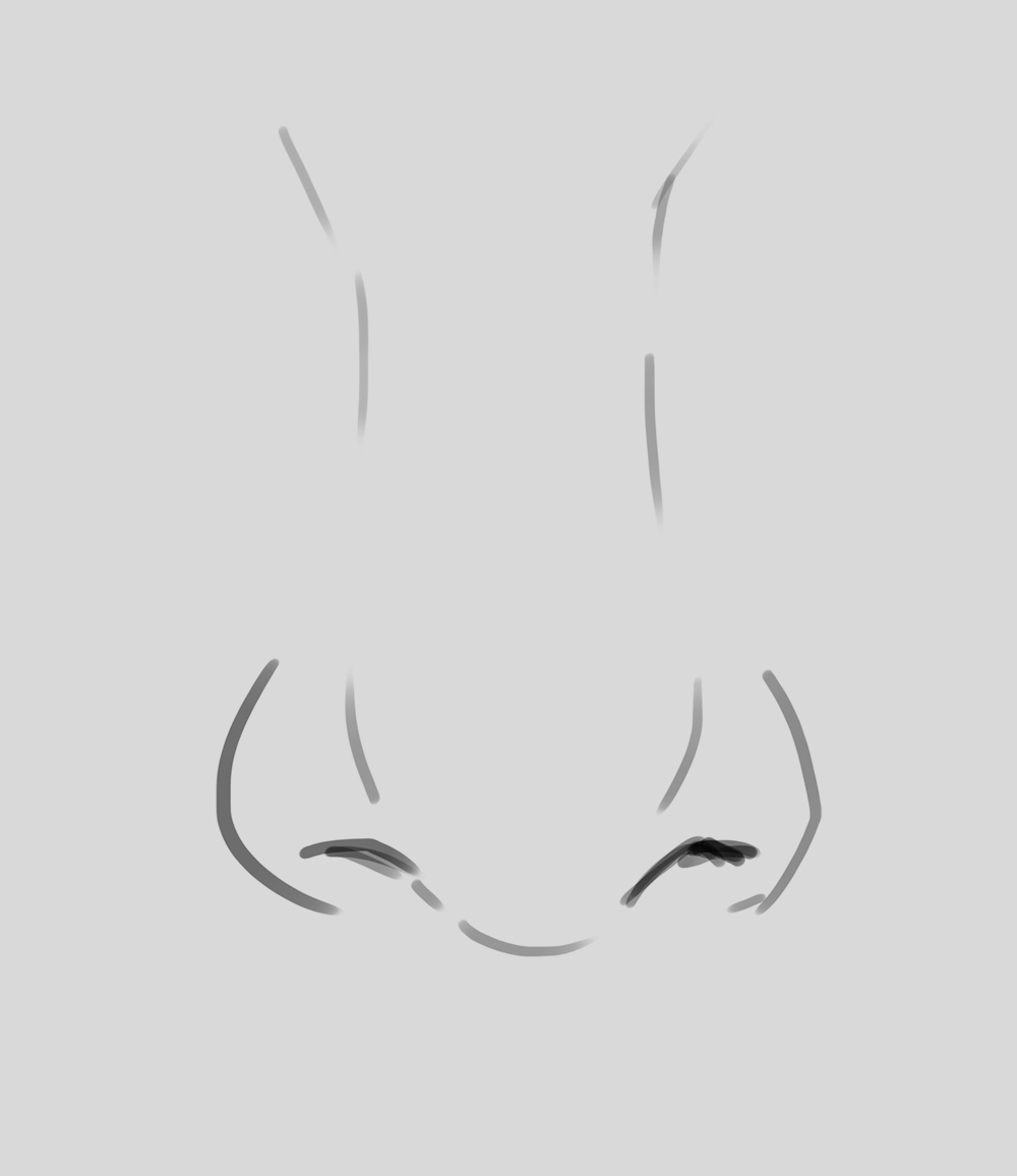 How To Draw A Nose For Beginners