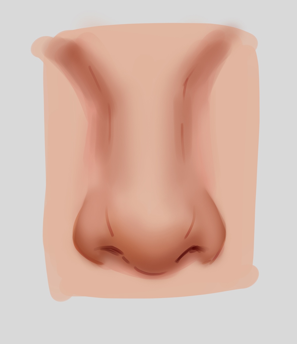 step 4 step 4