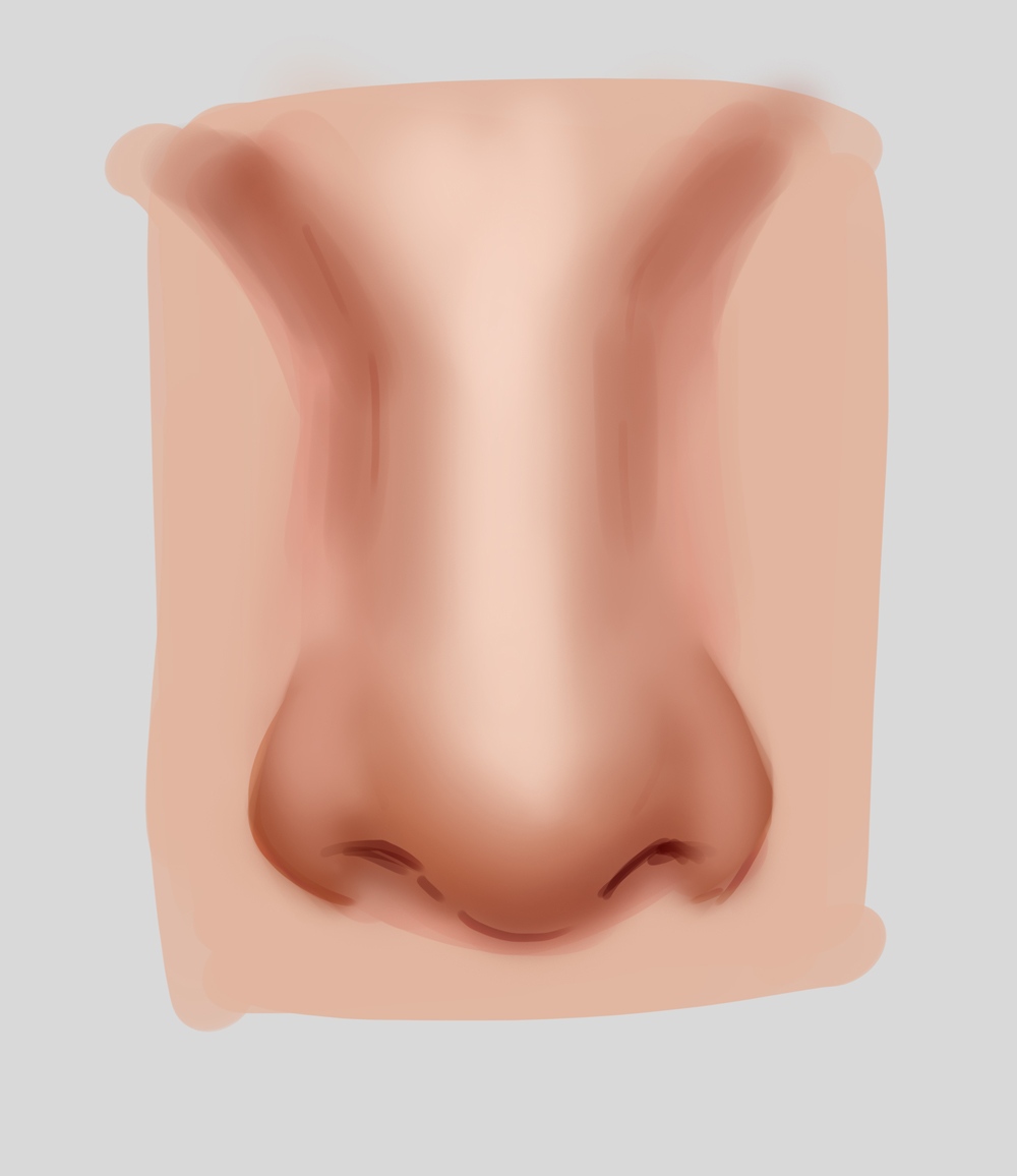 step 5 step 5