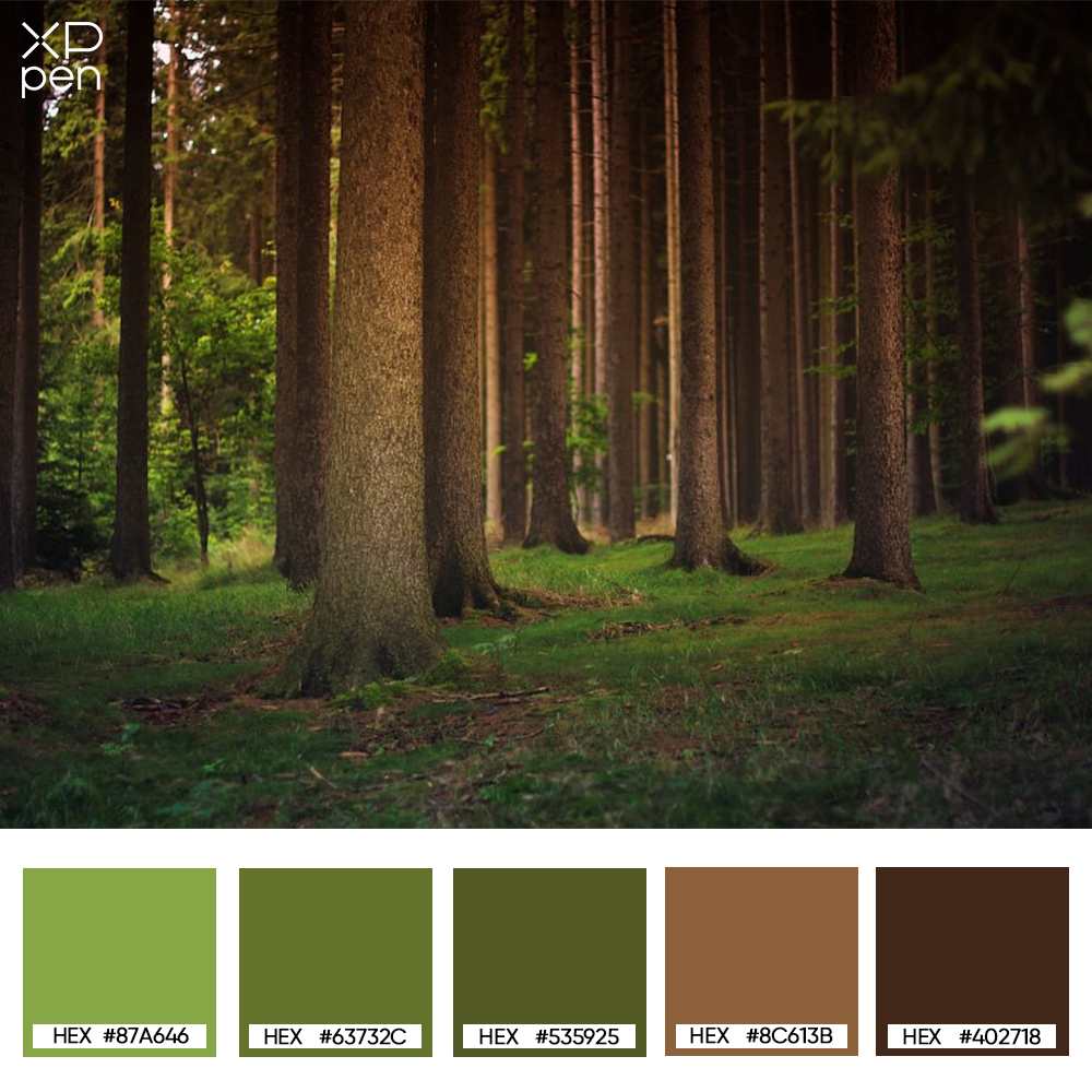 brown trunks forest palette
