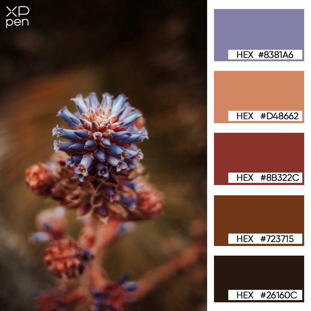 desert flower palette desert flower palette