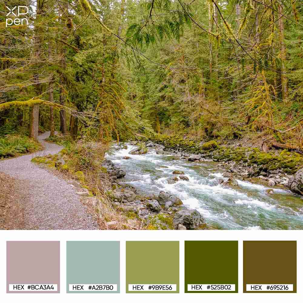 forest olive palette forest olive palette