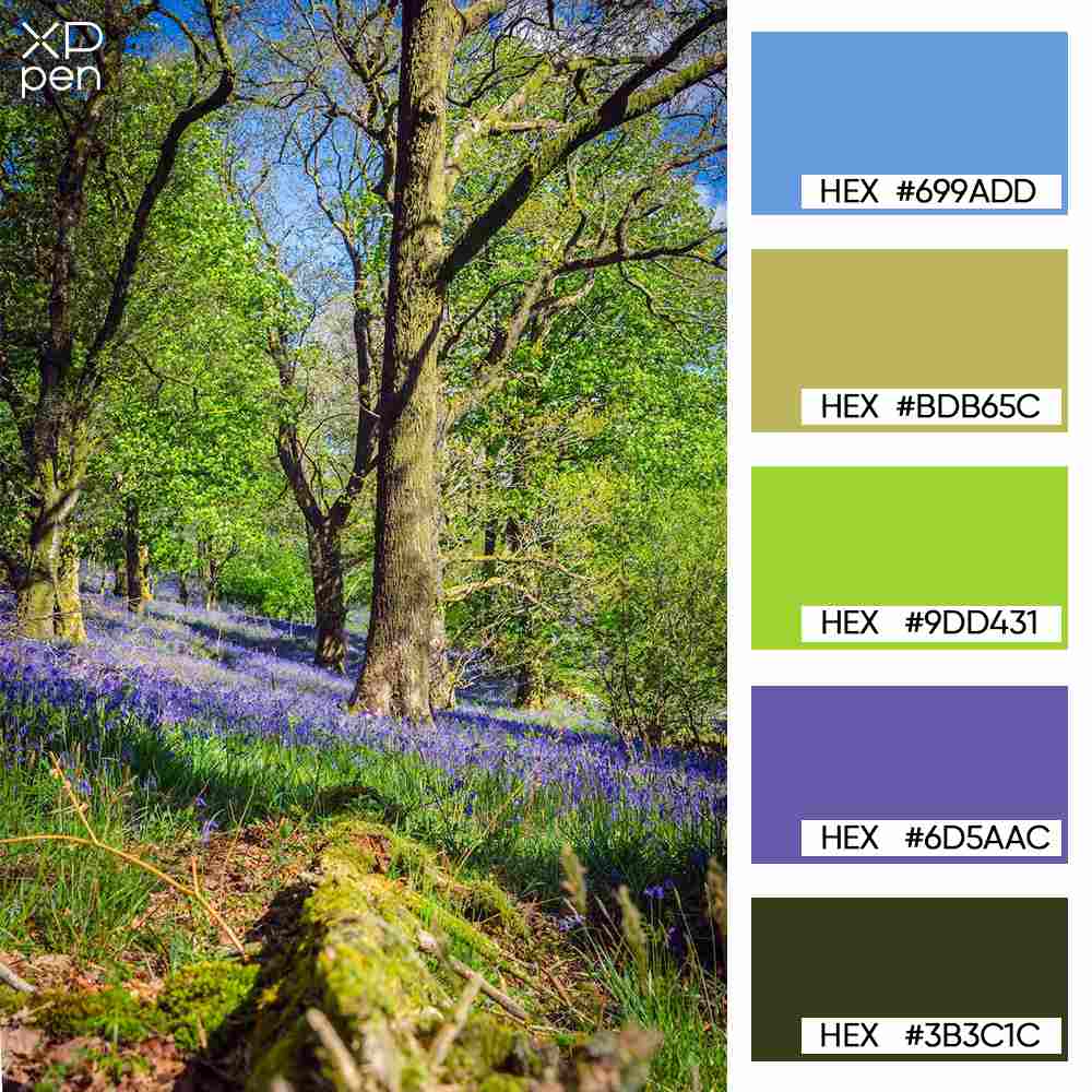 forest wildflower palette forest wildflower palette