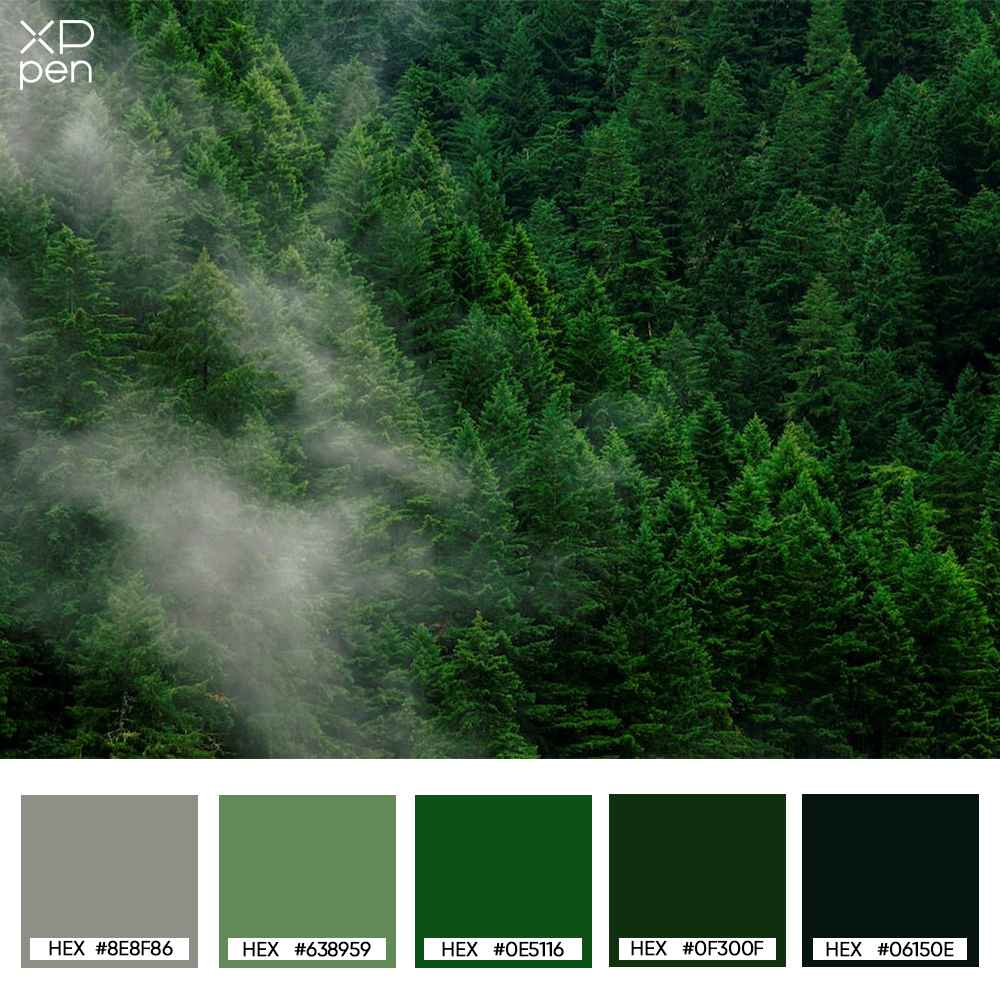 lush green forest palette