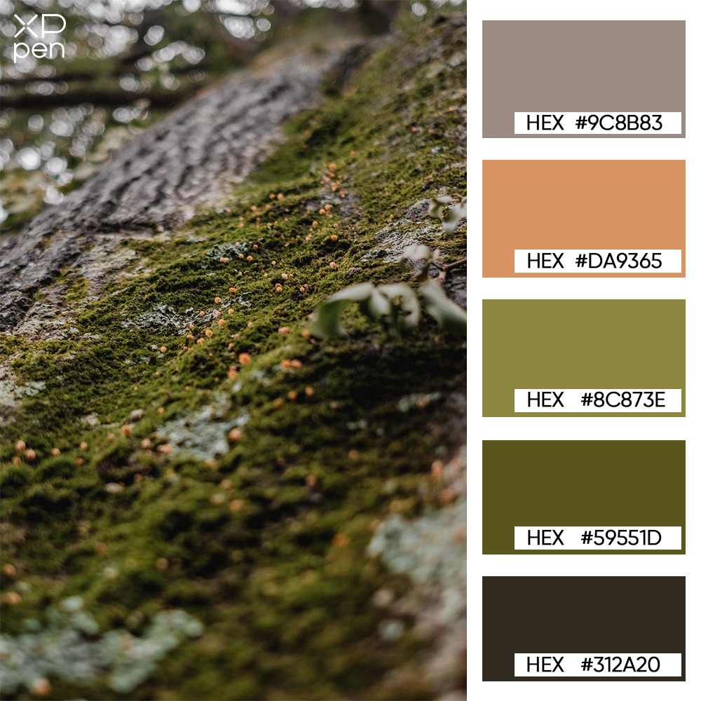 mossy green forest palette