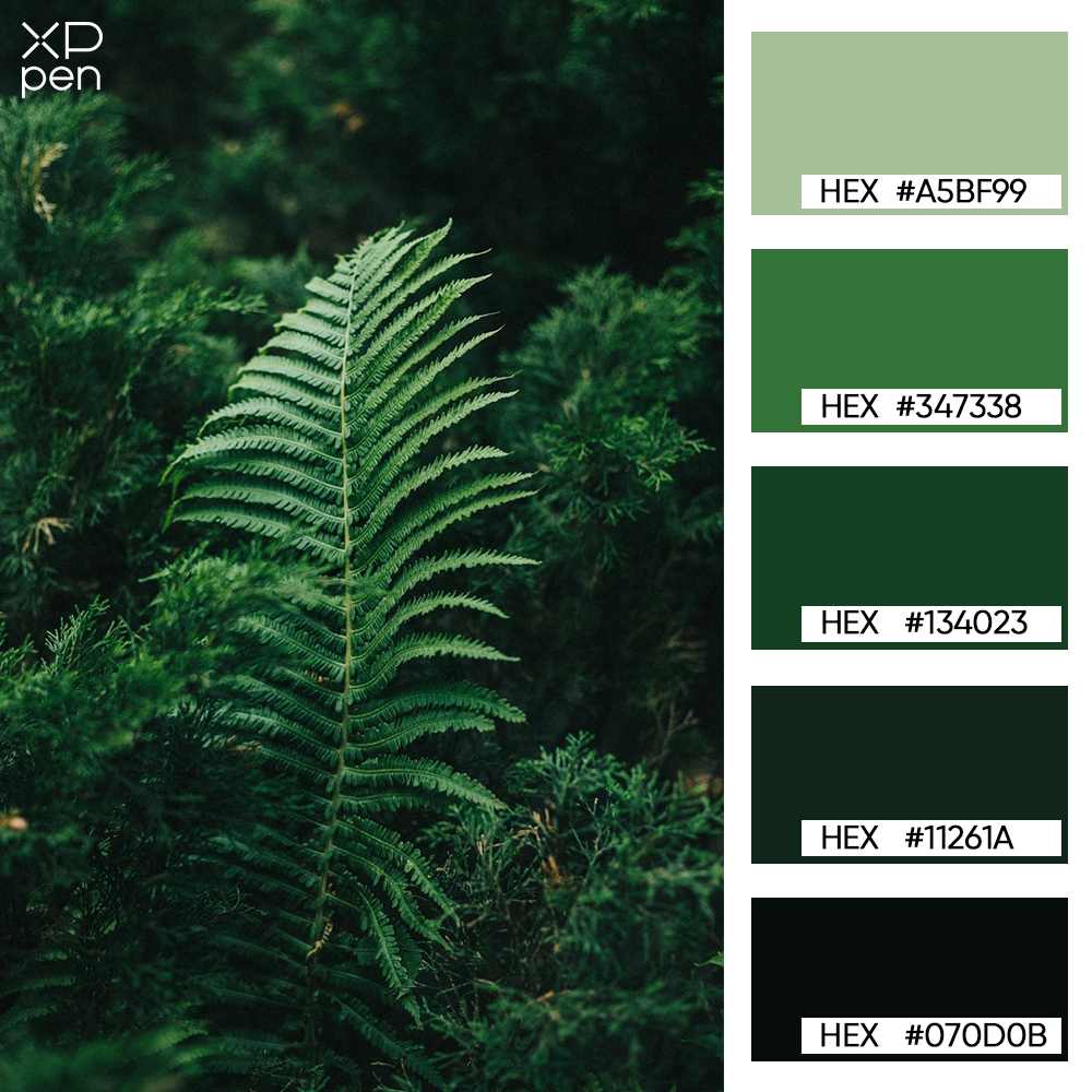 vibrant fern forest palette