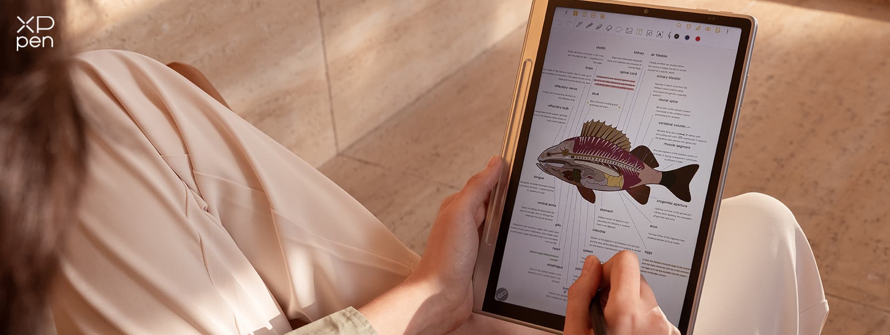 XPPen noteplus portable