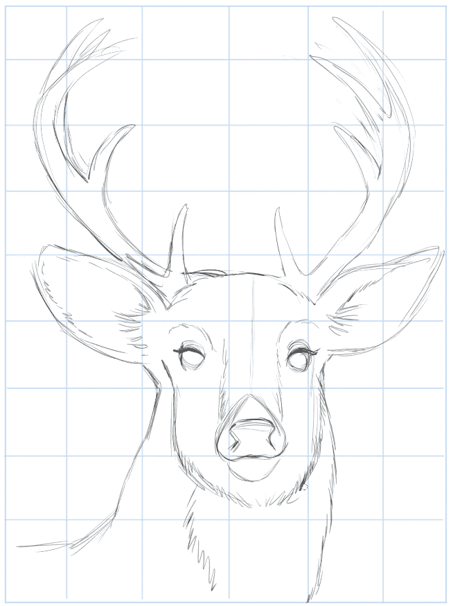 Draw a deer head step 1