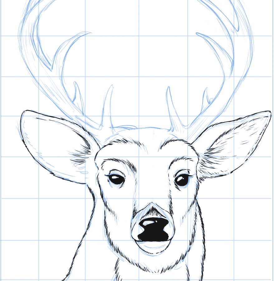 Draw a deer head step 3