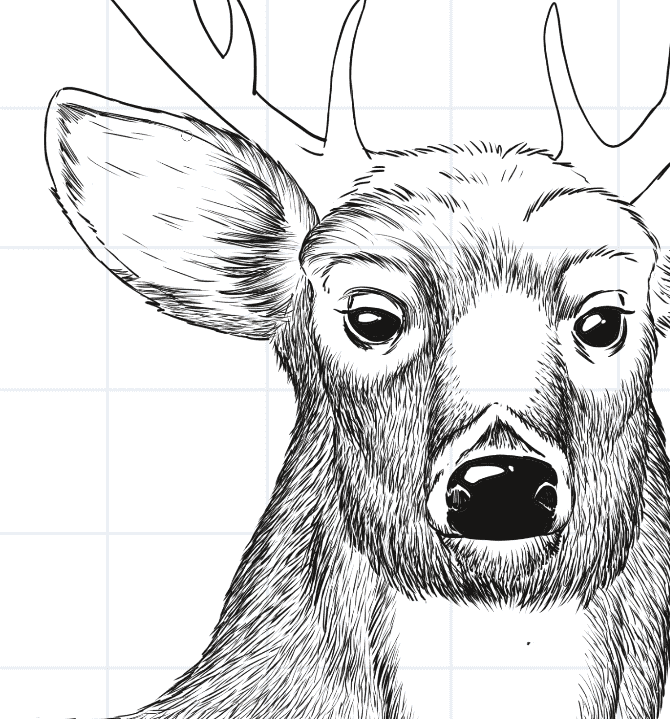 Draw a deer head step 8