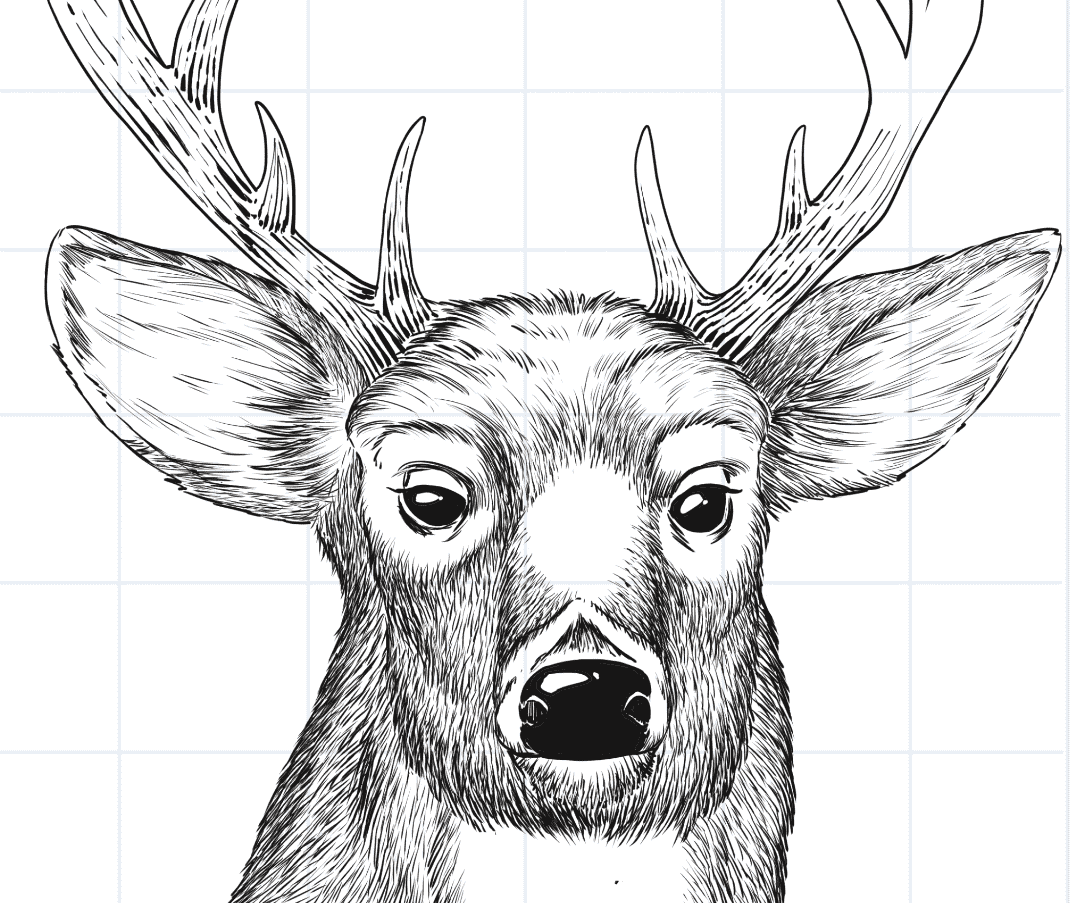 Draw a deer head step 9